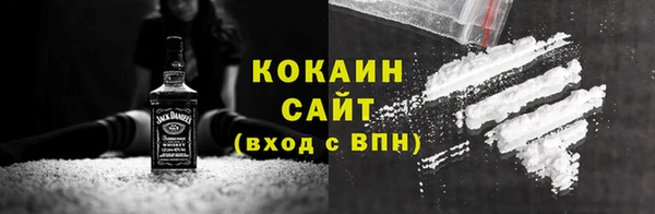 хмурый Алексин
