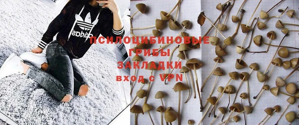 стаф Алзамай