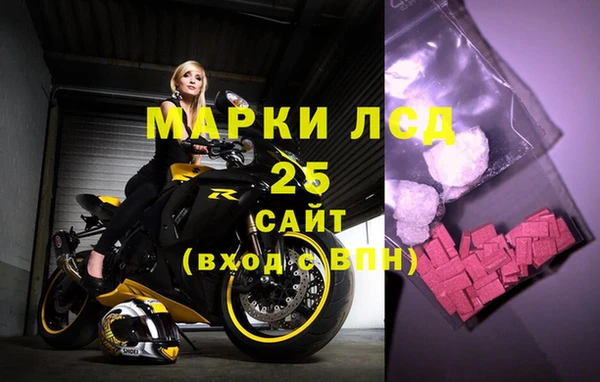 хмурый Алексин