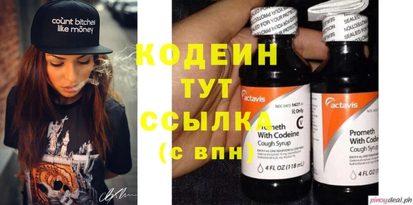 хмурый Алексин