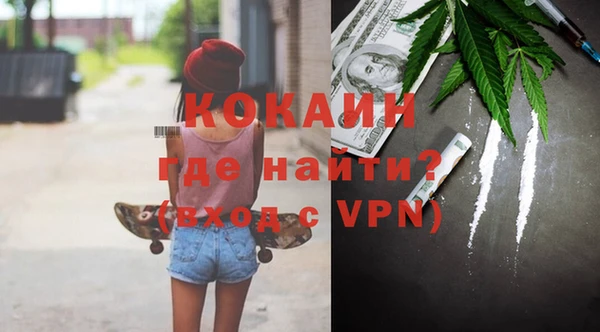стаф Алзамай